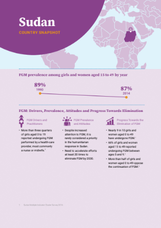 Sudan FGM Country Snapshot