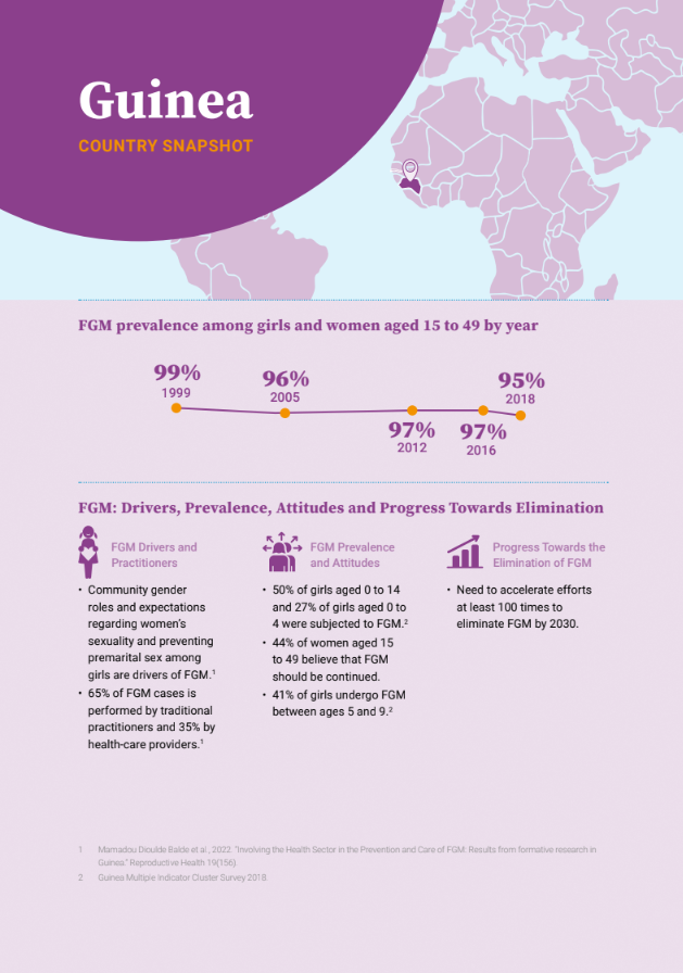 Guinea FGM Country Snapshot