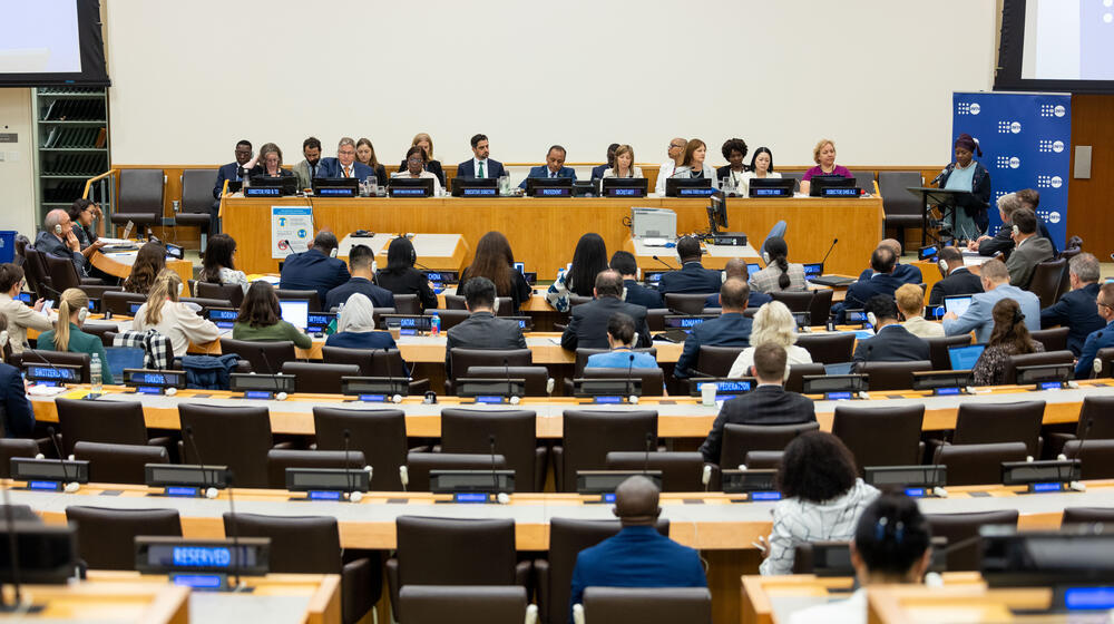 Dr. Natalia Kanem, Executive Director of the United Nations Population Fund (UNFPA), addresses attendees from a podium at the Executive Board of UNDP, UNFPA and UNOPS.