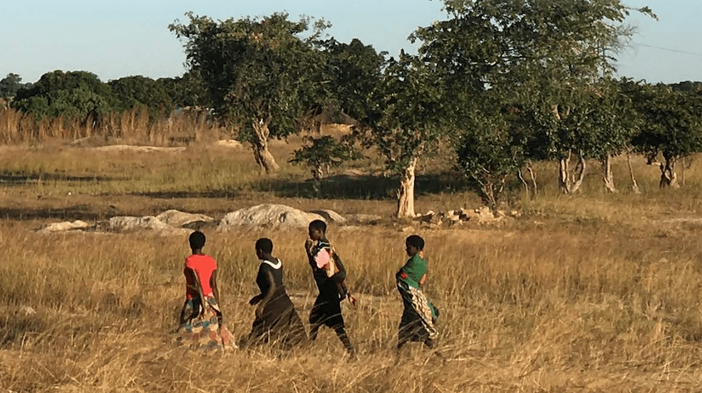 Four people walking together in a grassy landscape. 