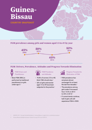 Guinea-Bissau Country Snapshot pdf