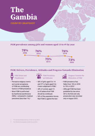 The gambia country snapshot 